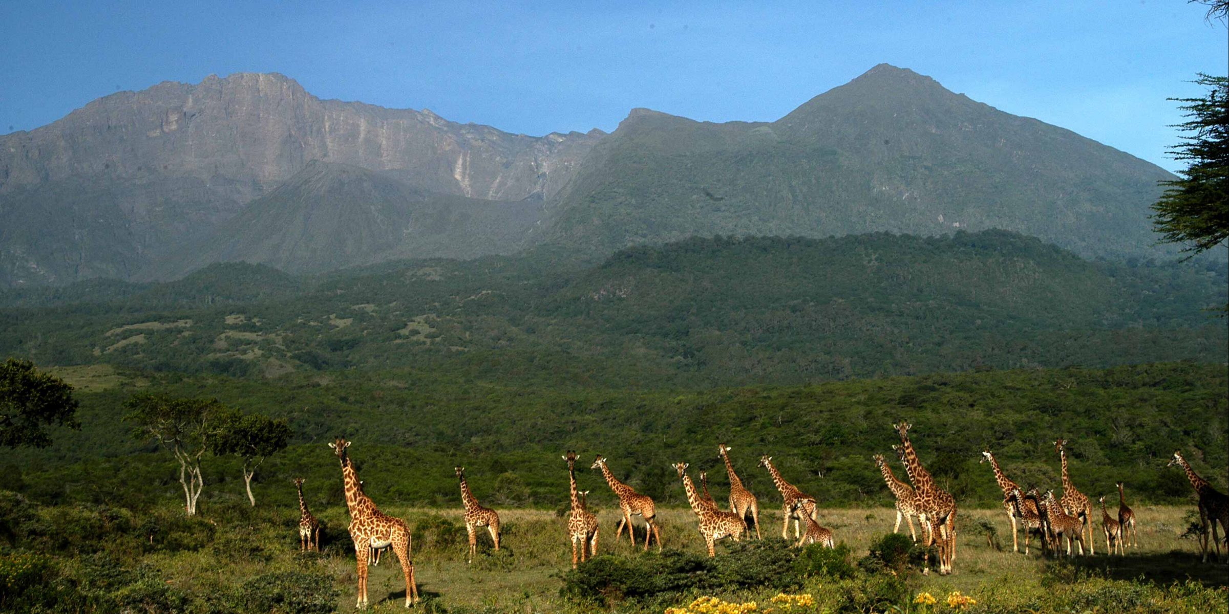 Arusha National Park